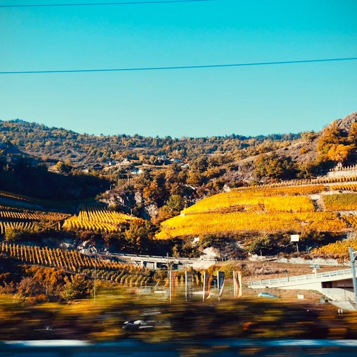 Family terraces and cafés for calm evenings in Lisbon